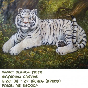 BLANCA TIGER