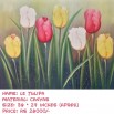 LE TULIPA