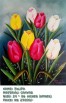 TULIPA